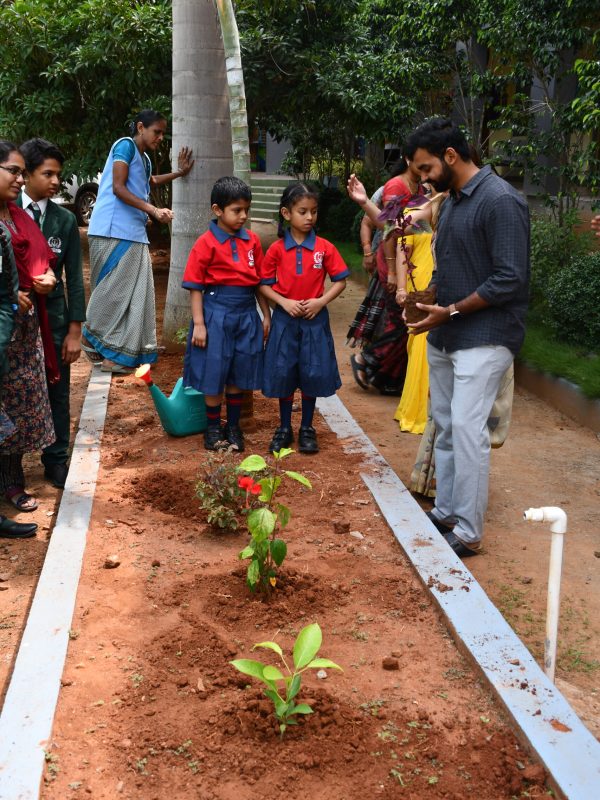 PLANTATION (9)